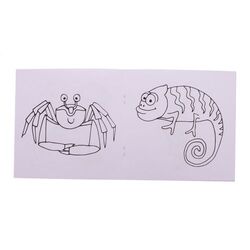 Album De Coloriage Personnalisé, Animaux ColoBook