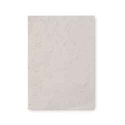 ASIDO Papier A6 graines de fleurs
