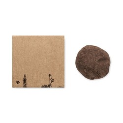 BOMBI II Bombe graines fleurs d'abeille