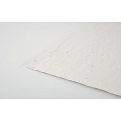 ASIDI Papier A4 graines de fleurs
