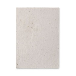 ASIDE Papier A5 graines de fleurs