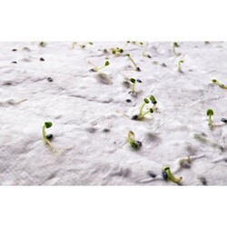 ASIDE Papier A5 graines de fleurs