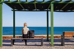 Sac à dos 15' en rPET AWARE™ Swiss Peak Fern