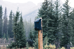 Sac à dos 15' en rPET AWARE™ Swiss Peak Fern