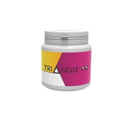 Mentos Chewing Gum 75 pcs (Menthe Fraîche)