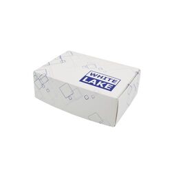 White Lake SSD Pro (120Go)