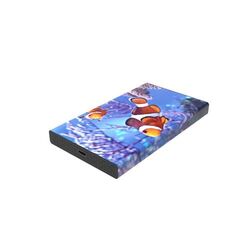 White Lake HDD Pro (500Go)