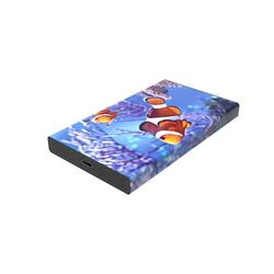 White Lake HDD Pro (500Go)