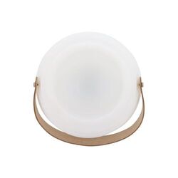 1626 | Coollux Mini lampe d'ambiance et haut-parleur sans fil