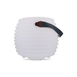 1616 | Coollux lampe d'ambiance et haut-parleur sans fil
