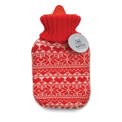 AALBORG Bouillotte 310ml