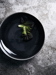 VINGA Saladier 31cm Nomimino