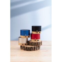 haut-parleur sans fil RalooBeat