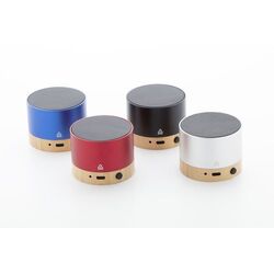 Haut-Parleur Sans Fil RalooBeat
