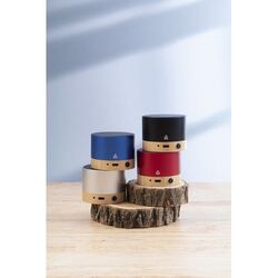 Haut-Parleur Sans Fil RalooBeat