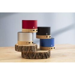Haut-Parleur Sans Fil RalooBeat