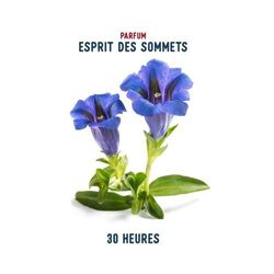 Bougie Esprit des Sommets 140g (30H)
