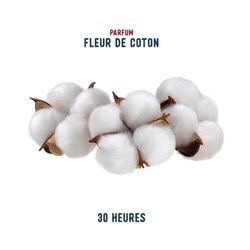 Bougie Fleur de coton 140g (30h)