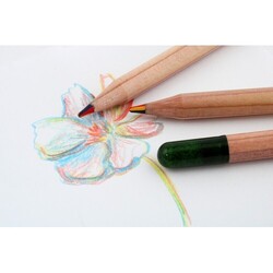 Crayon à graines mine multicolore