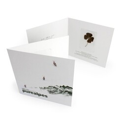 Carte 2 volets trèfle 4 feuilles