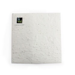 Enveloppe papier graines