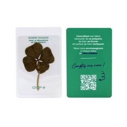 Carte Trèfle 4 feuilles