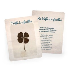 Carte Trèfle 4 feuilles
