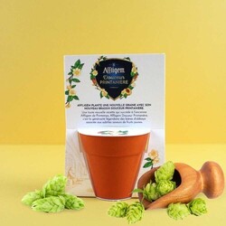 Carte pot bambou