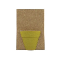 Carte pot bambou