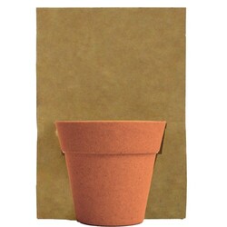 Carte pot bambou