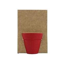 Carte pot bambou