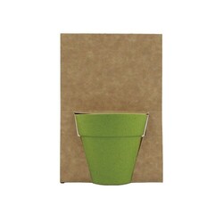 Carte pot bambou