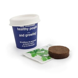 Kit plantation Pot Carton