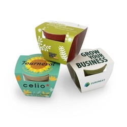 Kit plantation pot paille de riz de couleur-
