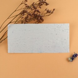 Enveloppe papier graines