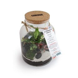 Terrarium - Modèle confort - L