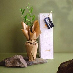 Plant d'arbre dans un sac papier graines - Prestiges