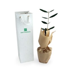 Plant d'arbre dans un sac papier graines - Prestiges