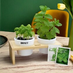 Plateau Duo aromatiques