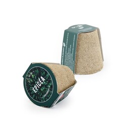 Kit plantation arbre pot cellulose