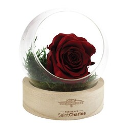 Rose éternelle en terrarium socle bois