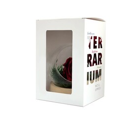 Rose éternelle en terrarium socle bois