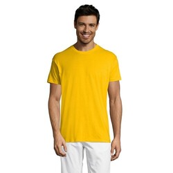 REGENT T-Shirt 150g