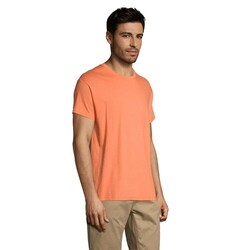 REGENT T-Shirt 150g