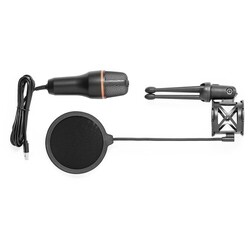 Microphone à Condensateur Densha