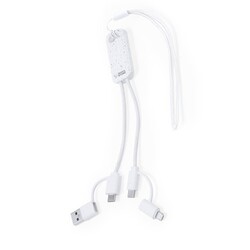 Câble de Charge Surgex