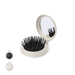 Brosse avec Miroir Flege