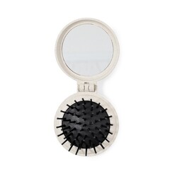 Brosse avec Miroir Flege