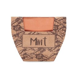 MINT POT Pot avec graines de menthe