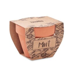 MINT POT Pot avec graines de menthe